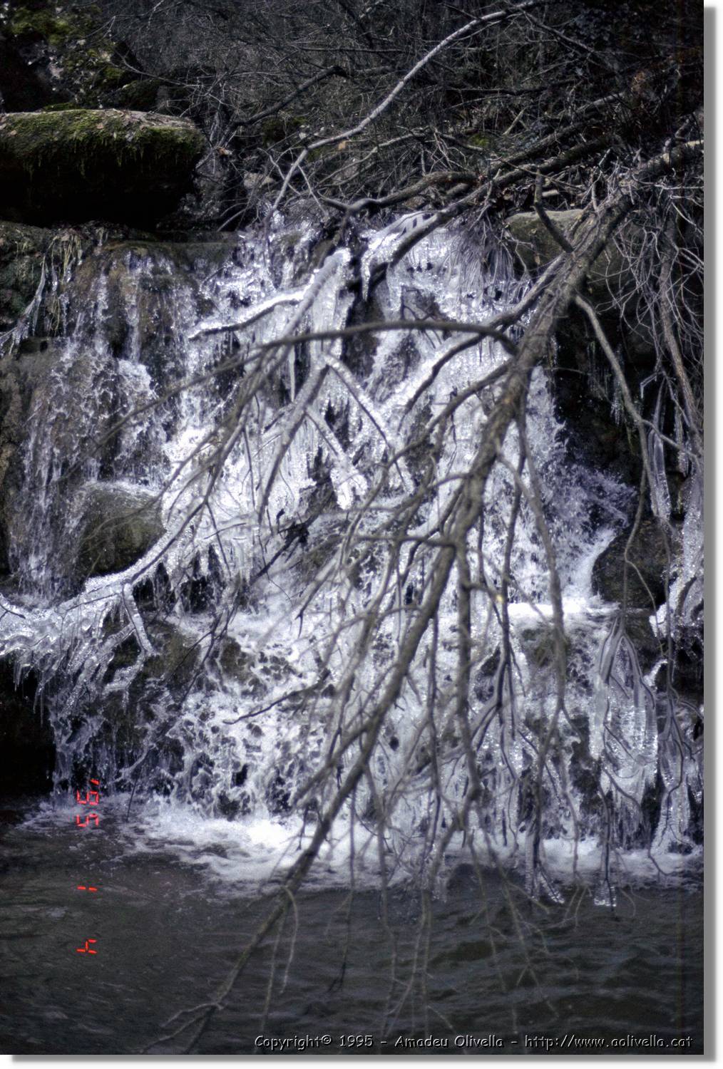 Garrotxa_020.jpg