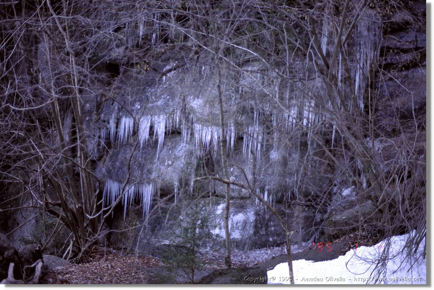 Garrotxa_021.jpg
