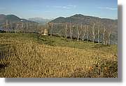 Garrotxa_037.jpg