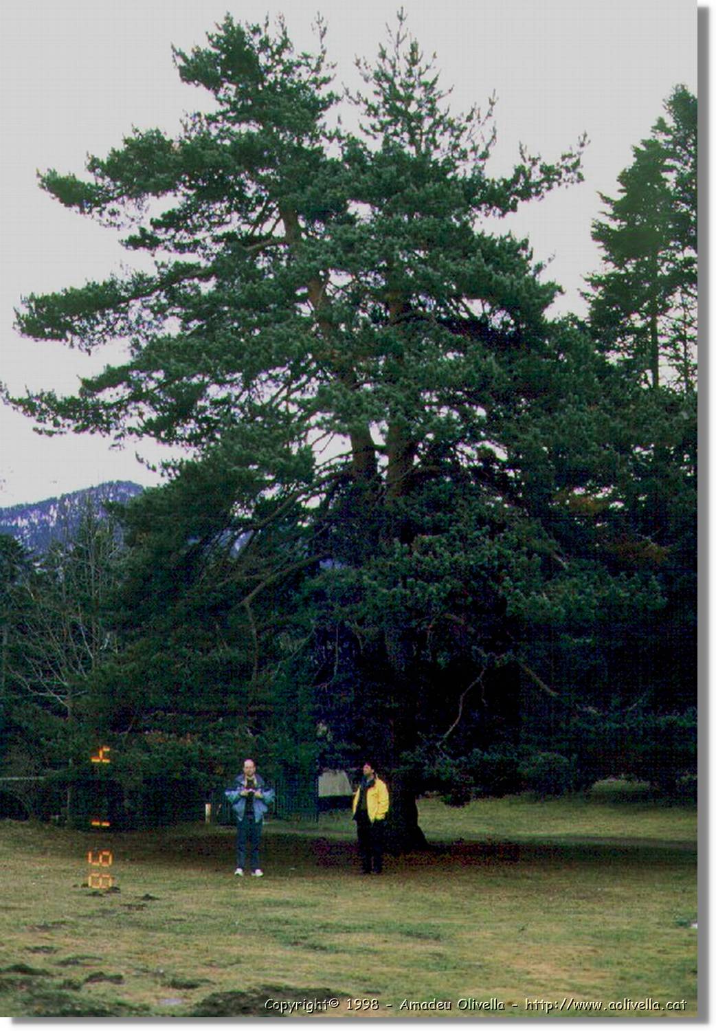 Besiberri_019.jpg