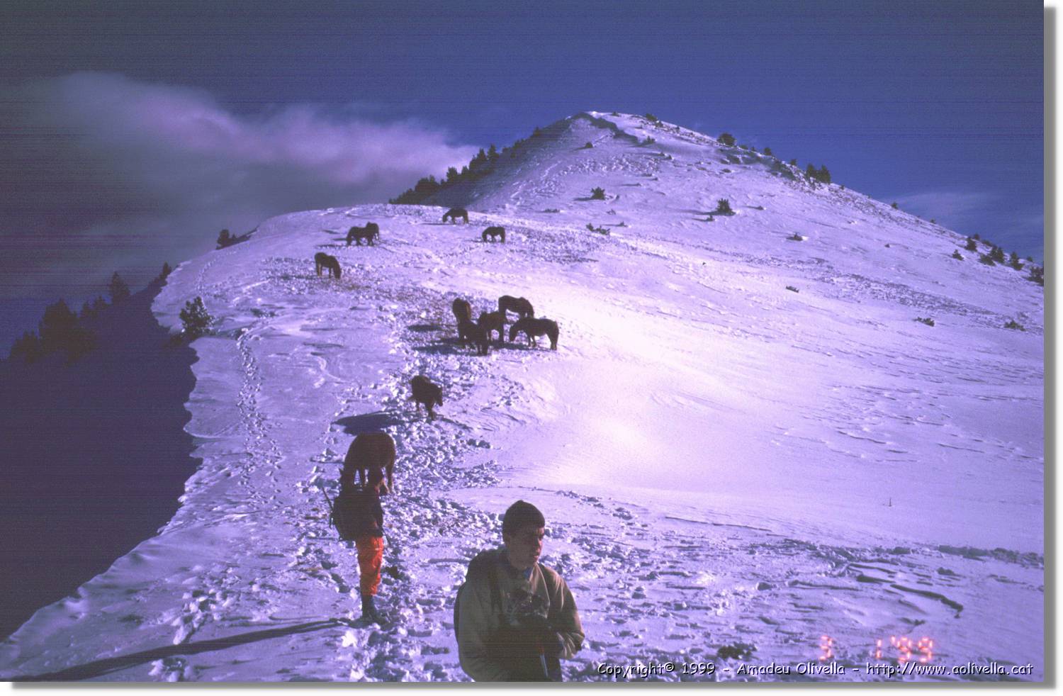 Toses_021.jpg