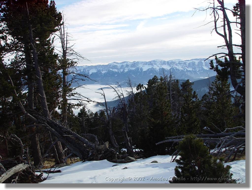 Cerdanya_55.jpg