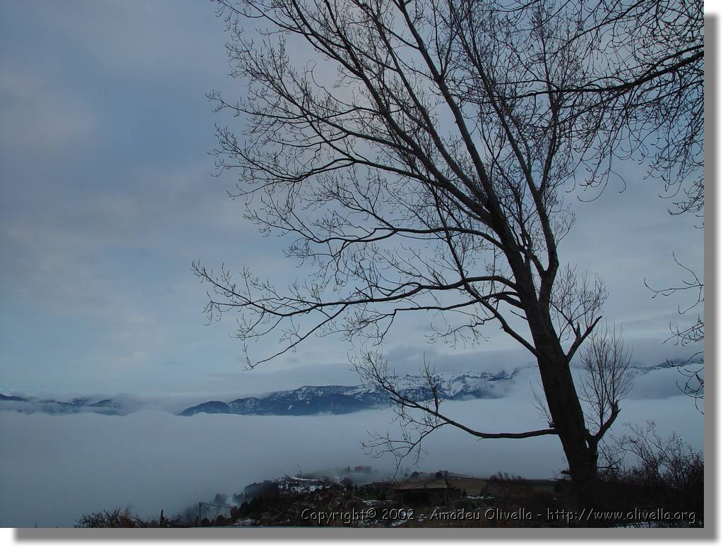 Cerdanya_61.jpg