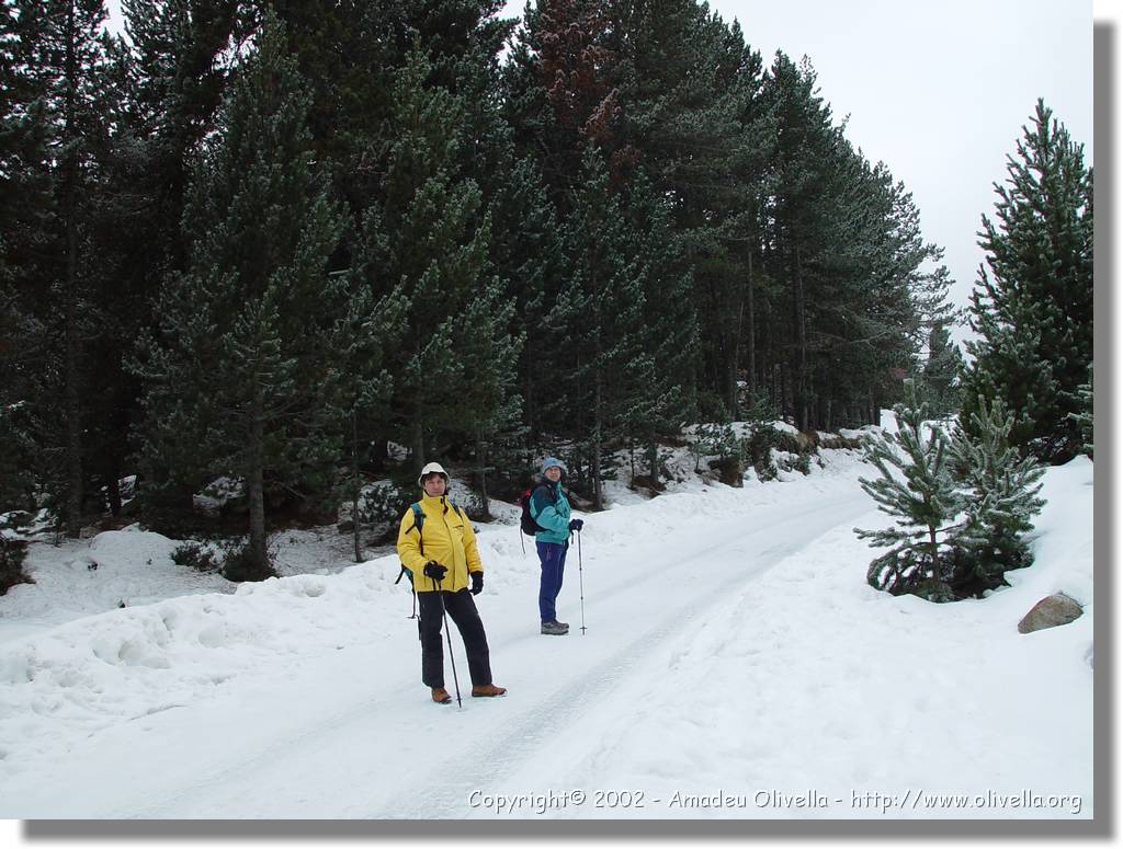 Cerdanya_65.jpg