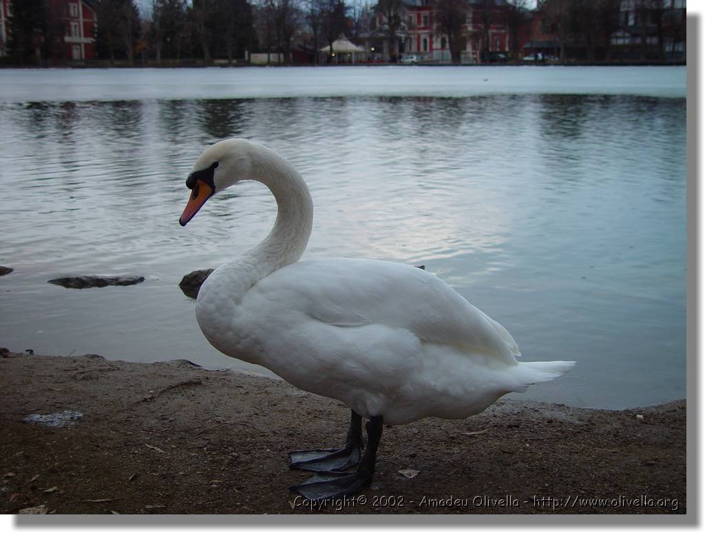Cerdanya_82.jpg