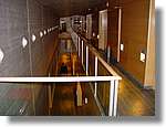 son_0165.jpg(104 KB)