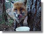 son_0179.jpg(135 KB)
