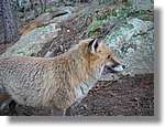 son_0180.jpg(172 KB)