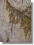 Bujaruelo_160.jpg