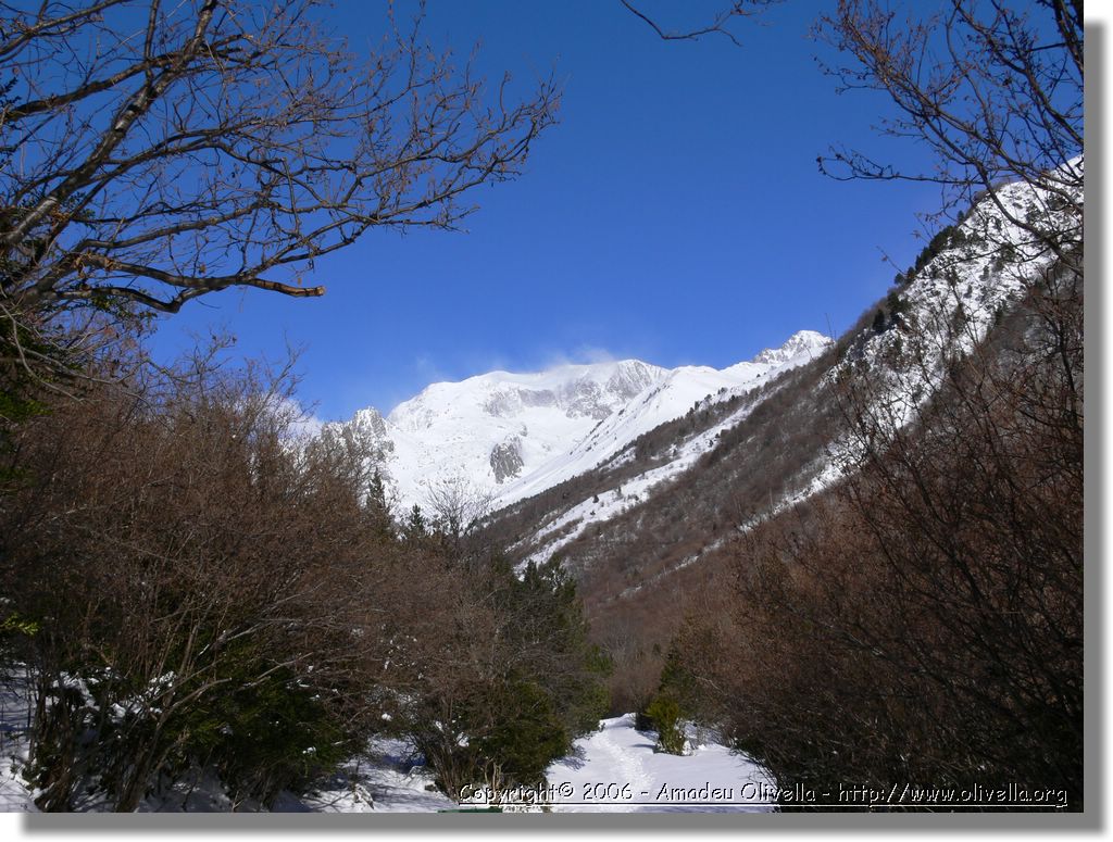 Benas_048.jpg