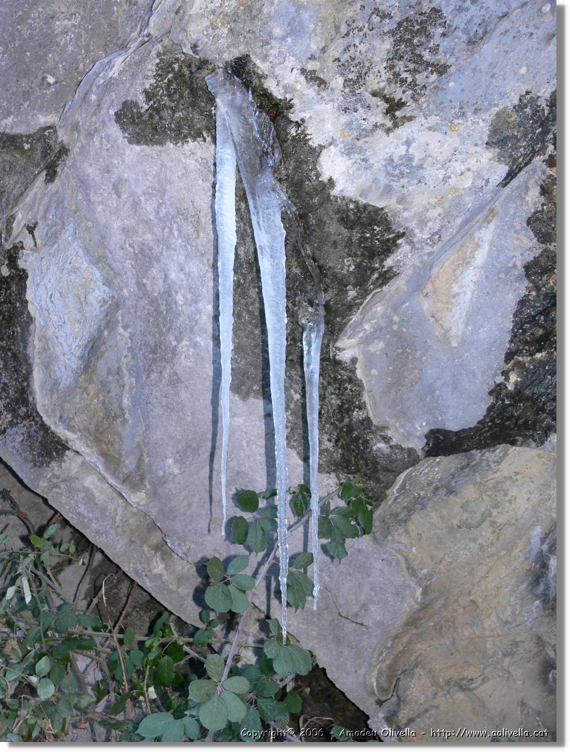 Benas_134.jpg