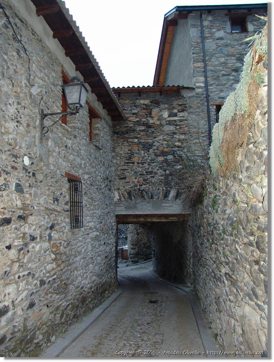 Benas_256.jpg