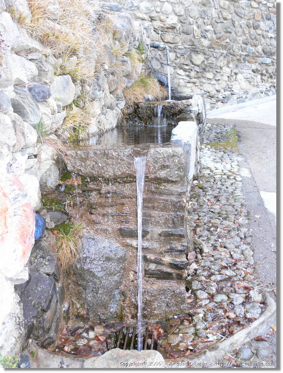 Benas_297.jpg