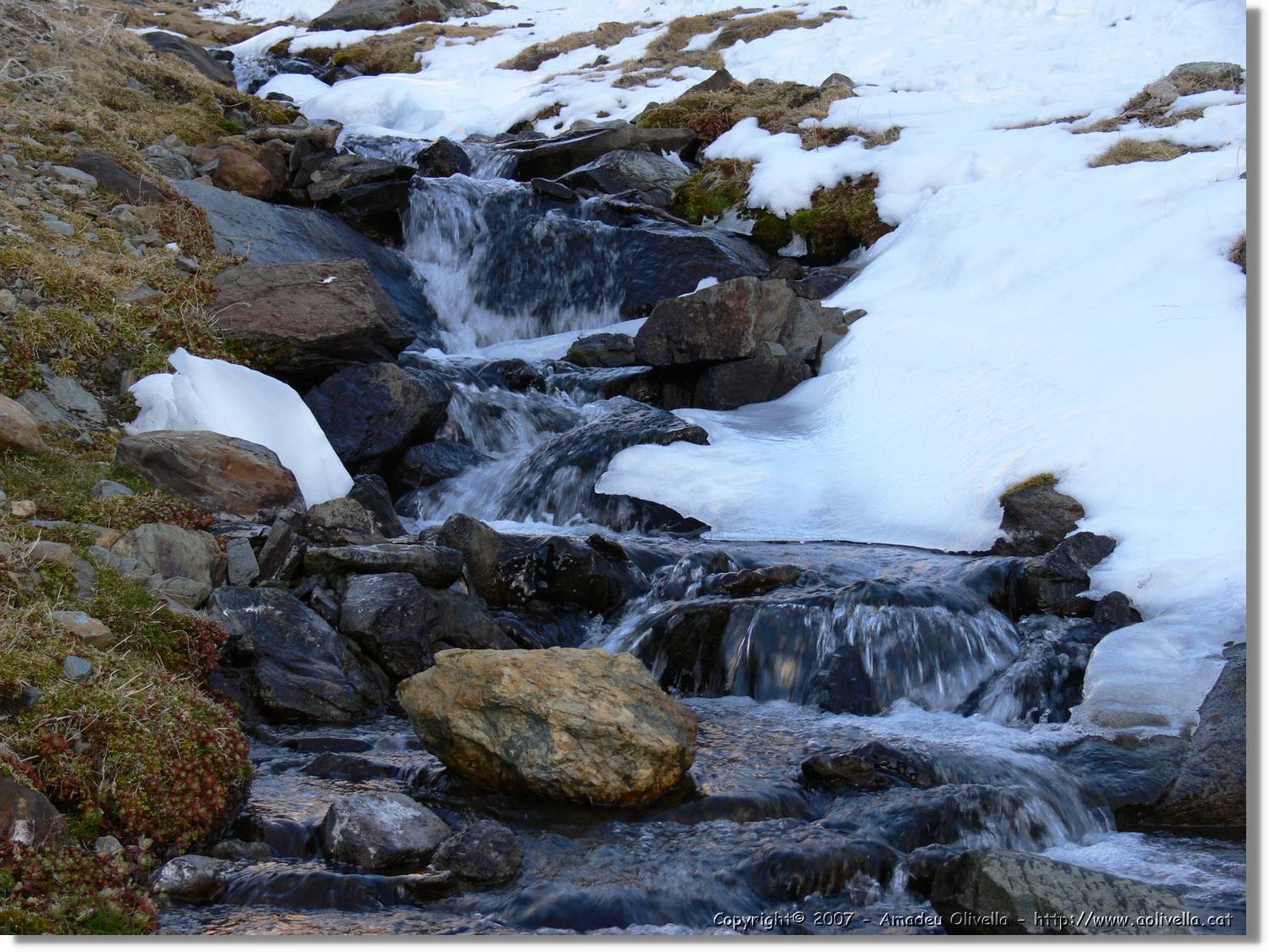 Cerdanya_291.jpg