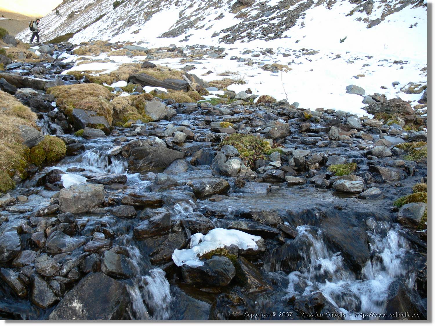 Cerdanya_293.jpg