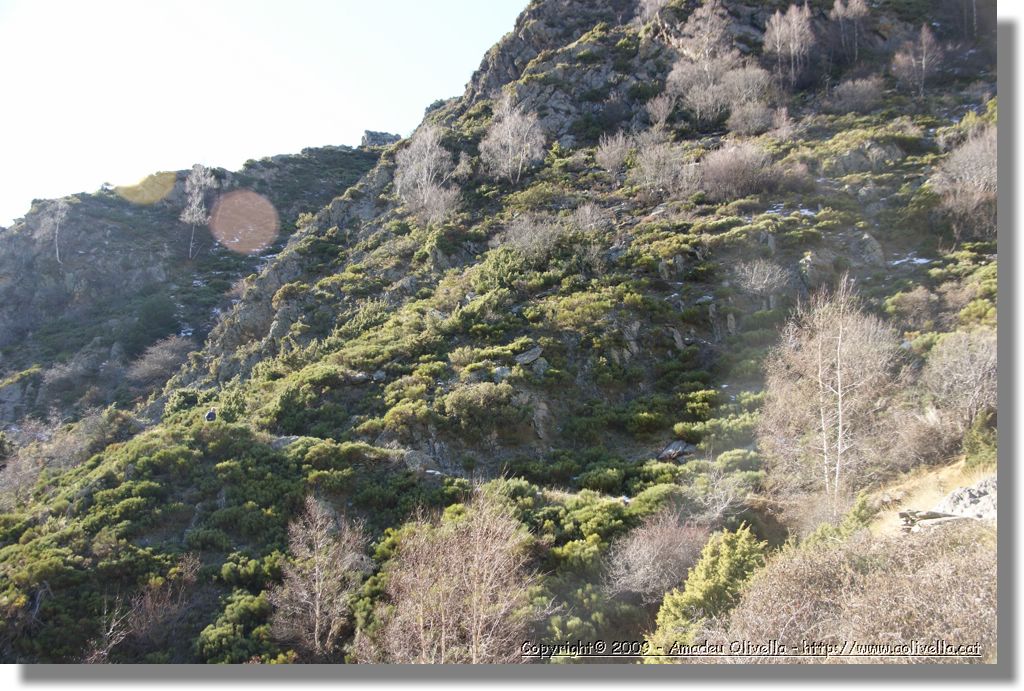 Vallferrera_112.jpg