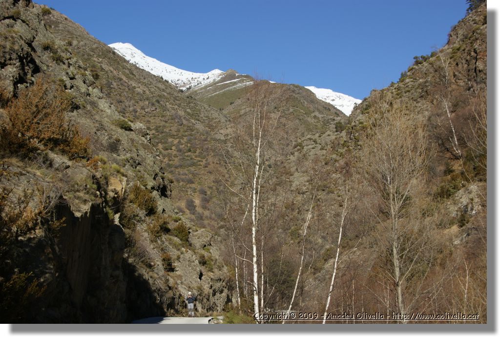 Vallferrera_144.jpg