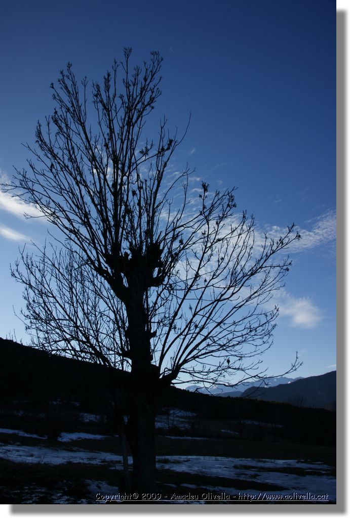 Vallferrera_165.jpg