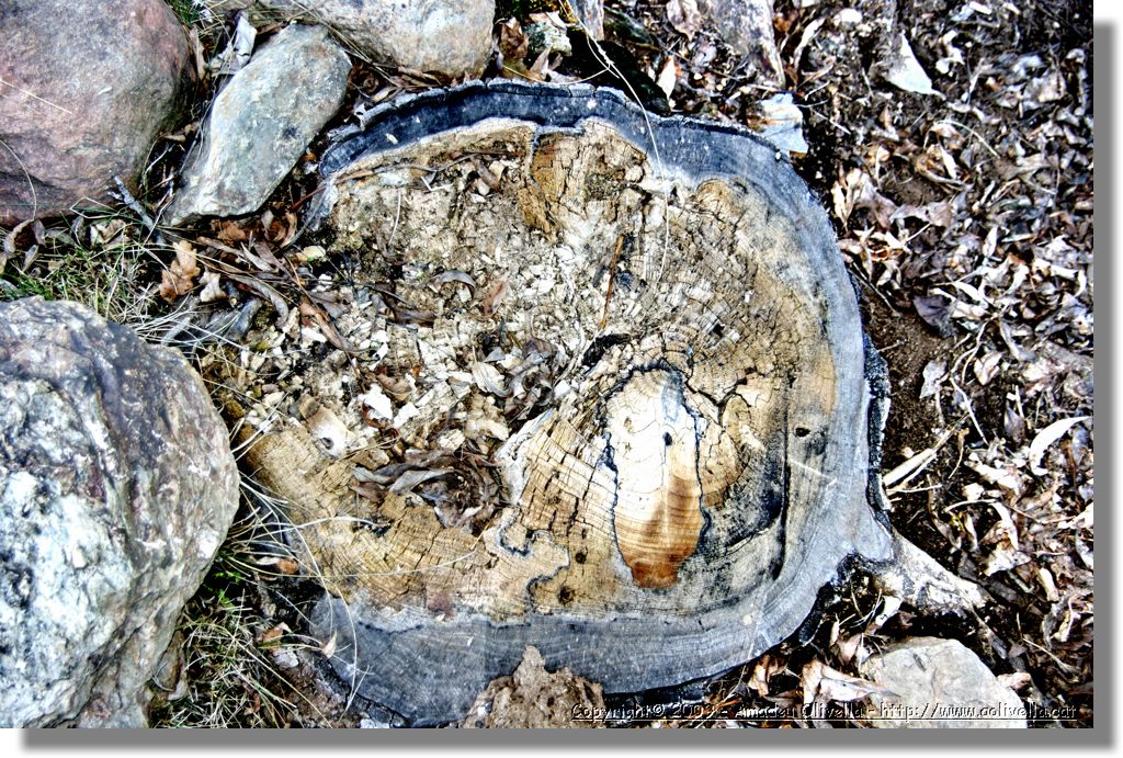 Vallferrera_172.jpg