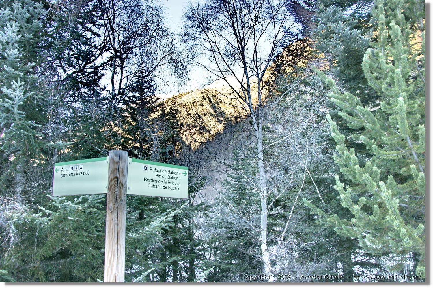 Vallferrera_288.jpg