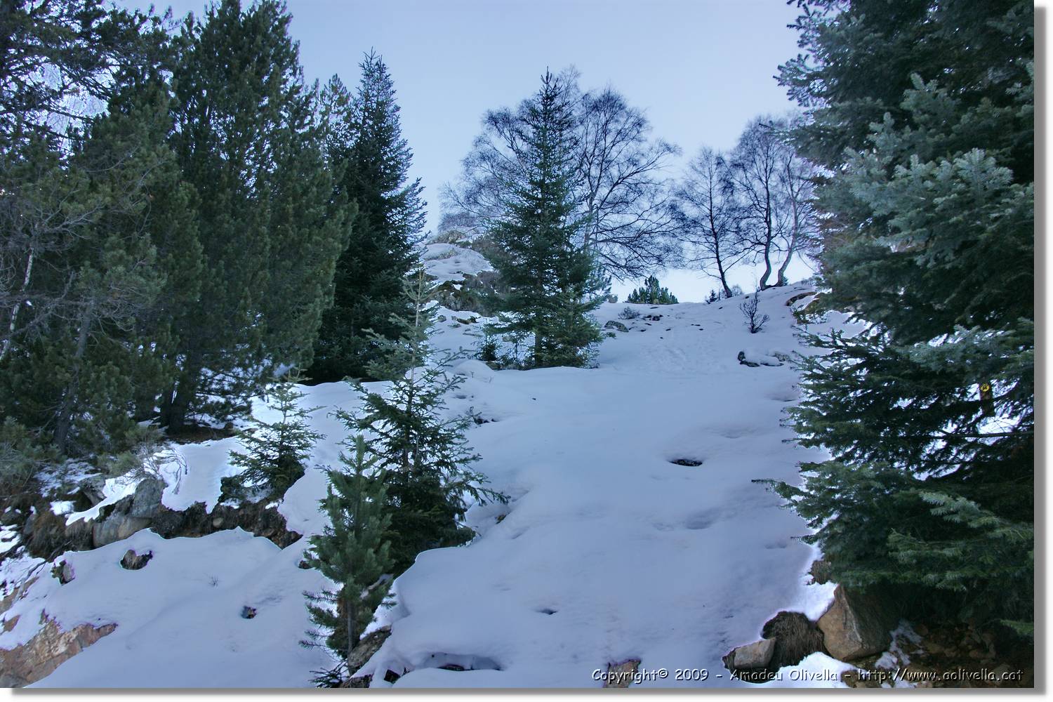 Vallferrera_292.jpg
