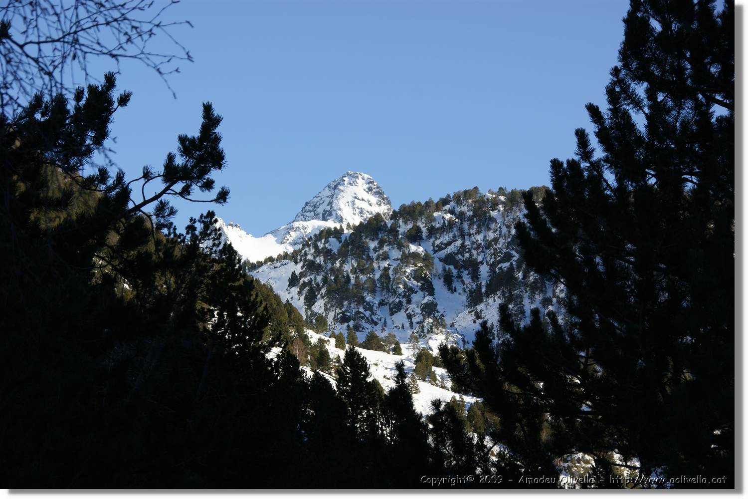 Vallferrera_297.jpg