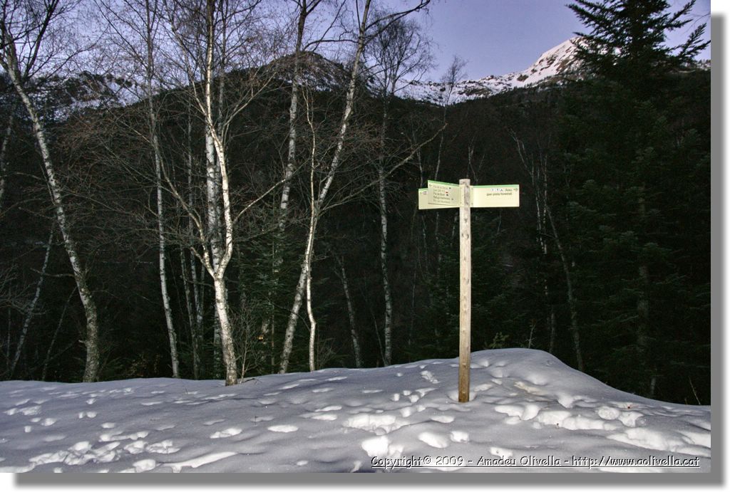 Vallferrera_359.jpg