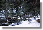 Vallferrera_335.jpg