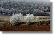 Vallferrera_400.jpg