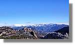 Alt_Urgell_067.jpg