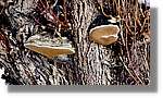 Andorra_064.jpg