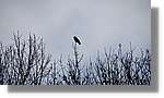 Andorra_077.jpg