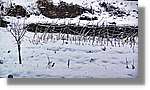 Andorra_110.jpg