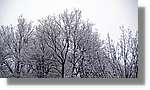Andorra_112.jpg