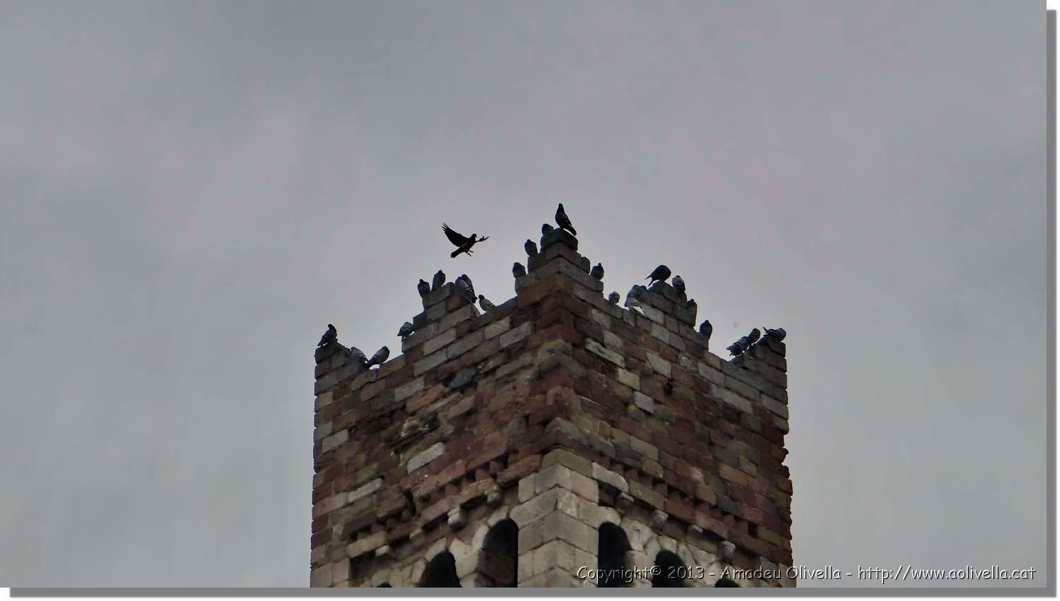 La_Seu_021.jpg