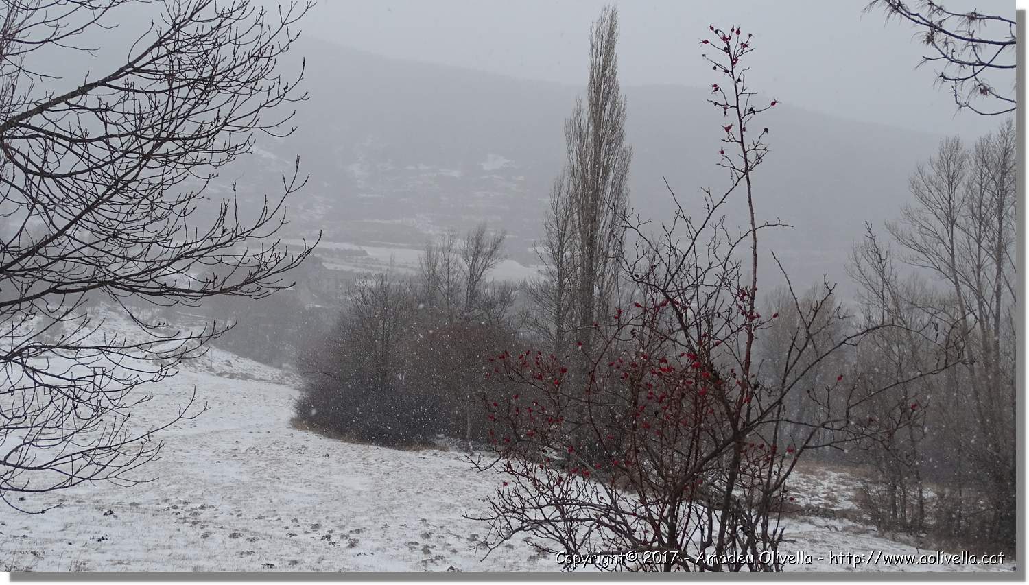 Pallars_050.jpg