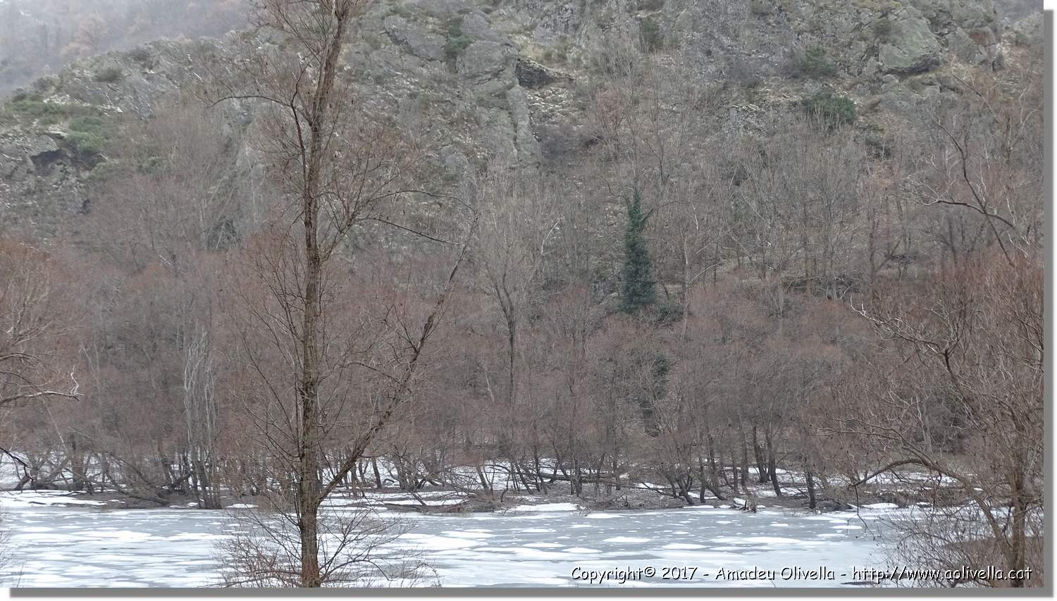 Pallars_066.jpg