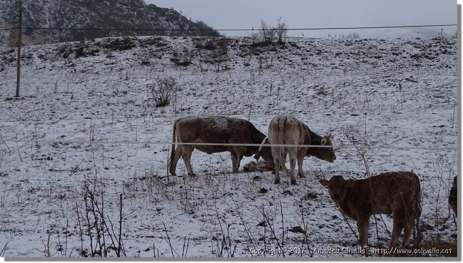 Pallars_078.jpg