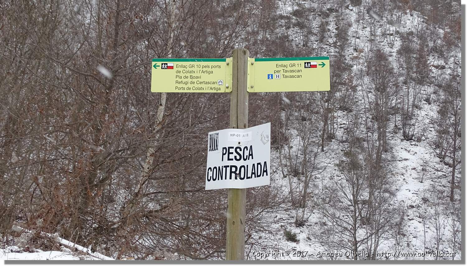 Pallars_107.jpg