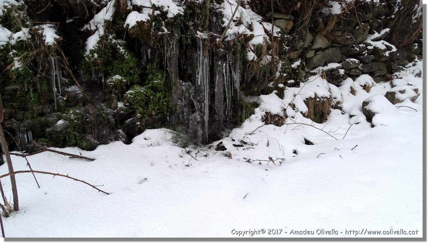 Pallars_112.jpg