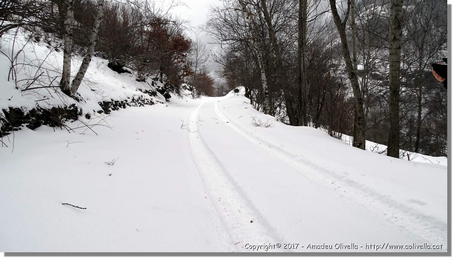 Pallars_113.jpg