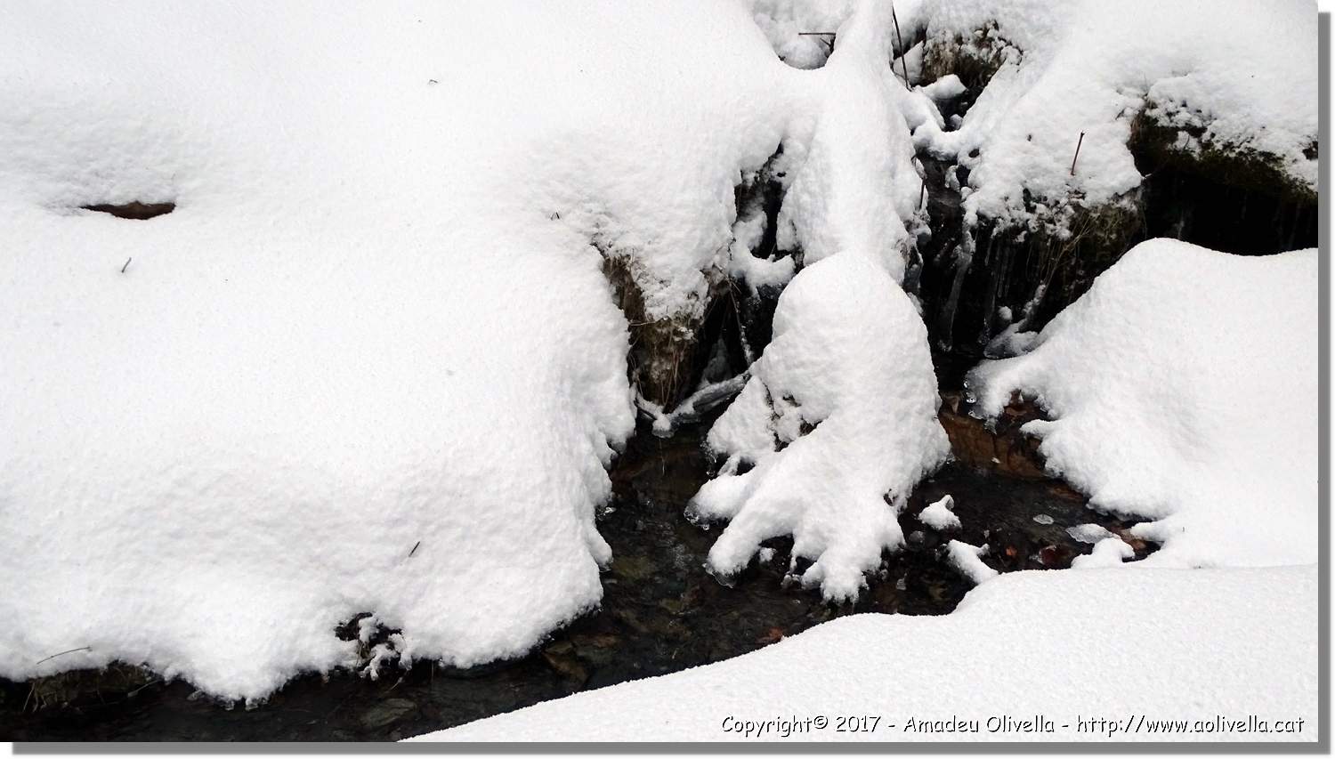 Pallars_114.jpg