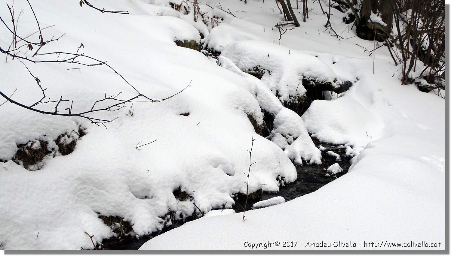 Pallars_115.jpg