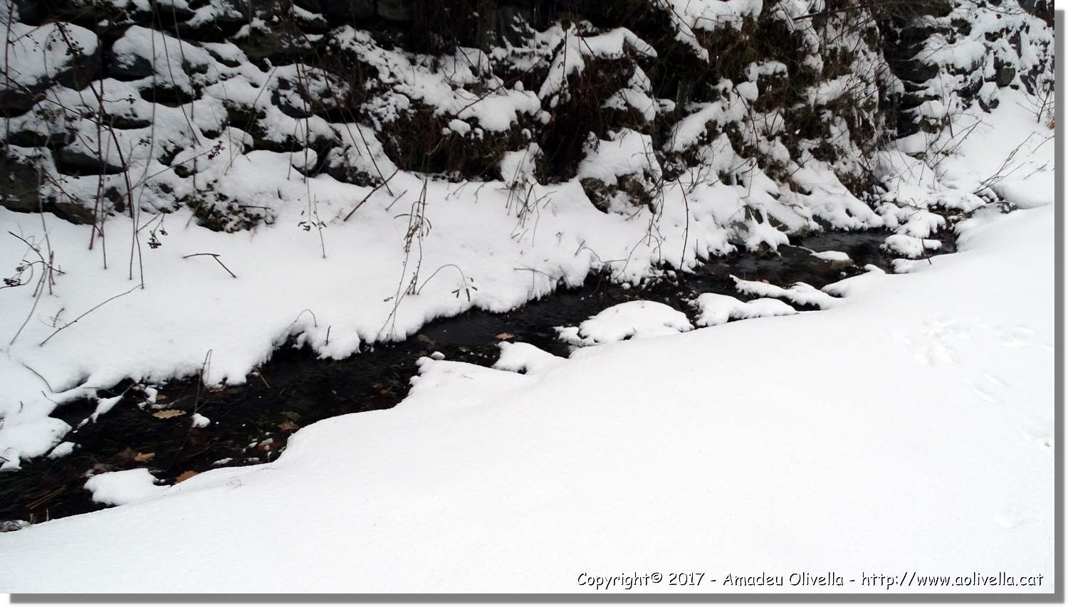 Pallars_118.jpg