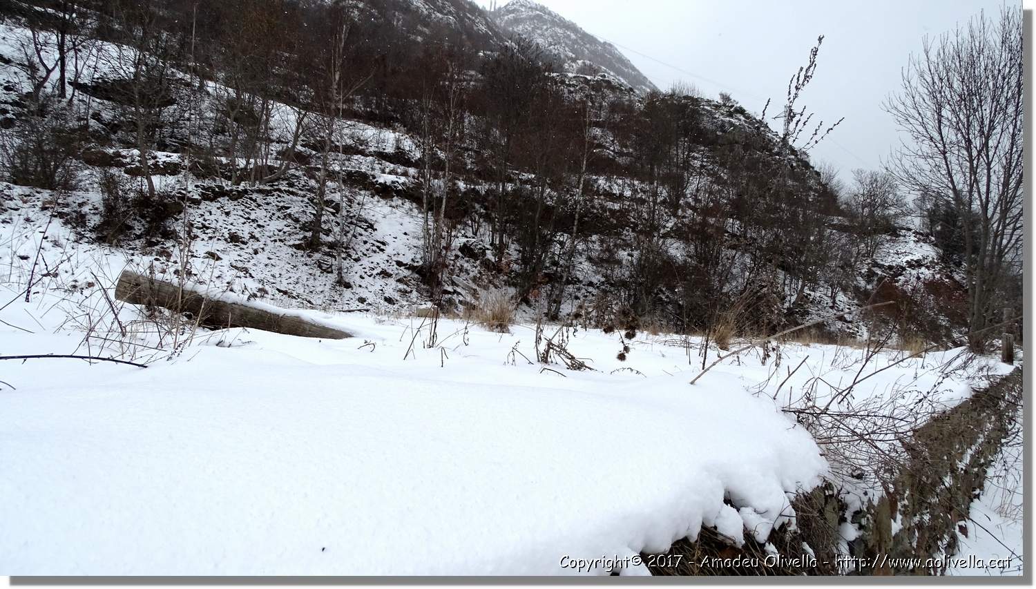 Pallars_120.jpg
