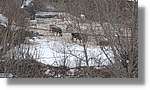 Pallars_101.jpg