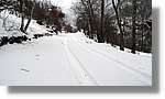 Pallars_113.jpg