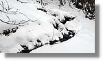 Pallars_115.jpg