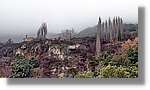 Cambrils_052.jpg