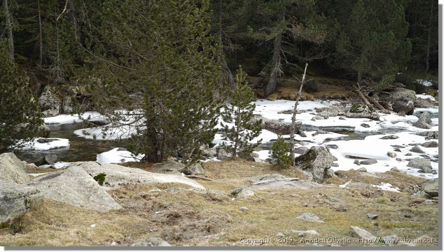 Aigüestortes_116.jpg